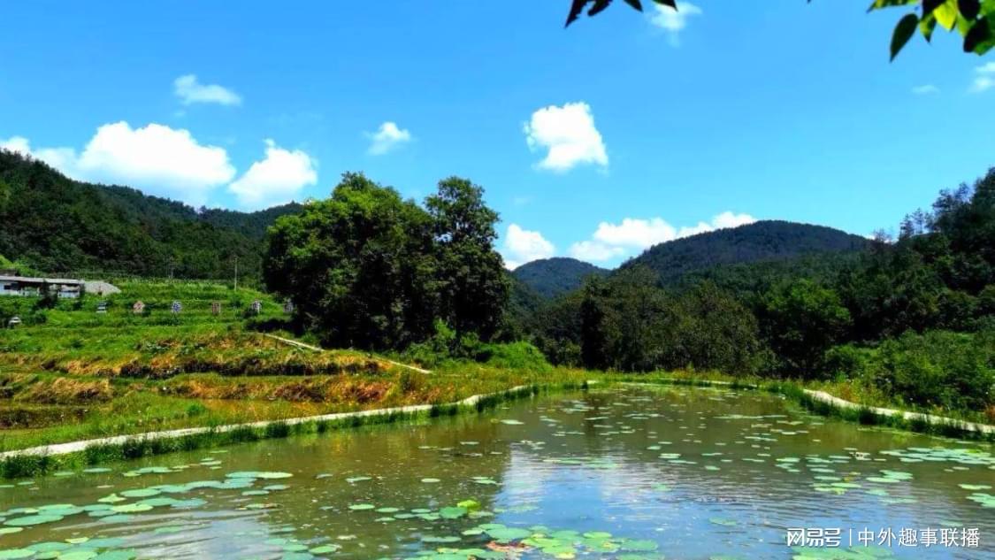 自助下单平台全网最低：轻松获取全网最优惠价格_24小时快手低价业务自助下单平台